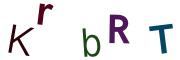 圖片的 CAPTCHA