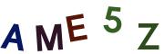 圖片的 CAPTCHA