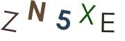圖片的 CAPTCHA