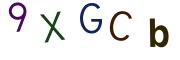 圖片的 CAPTCHA