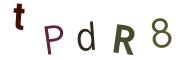 圖片的 CAPTCHA
