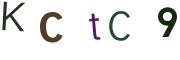 圖片的 CAPTCHA