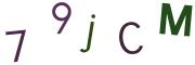 圖片的 CAPTCHA