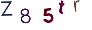 圖片的 CAPTCHA