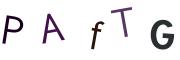 圖片的 CAPTCHA