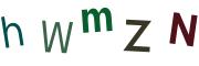 圖片的 CAPTCHA