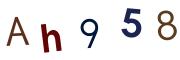 圖片的 CAPTCHA