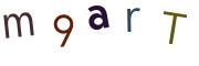 圖片的 CAPTCHA