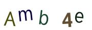 圖片的 CAPTCHA