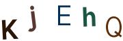 圖片的 CAPTCHA