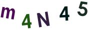圖片的 CAPTCHA