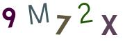 圖片的 CAPTCHA