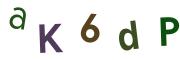 圖片的 CAPTCHA