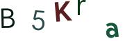 圖片的 CAPTCHA