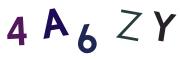 圖片的 CAPTCHA