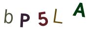 圖片的 CAPTCHA