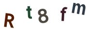 圖片的 CAPTCHA
