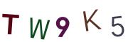 圖片的 CAPTCHA