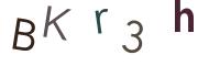 圖片的 CAPTCHA