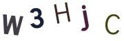 圖片的 CAPTCHA
