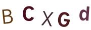 圖片的 CAPTCHA