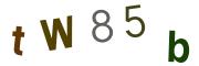 圖片的 CAPTCHA