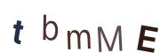 圖片的 CAPTCHA
