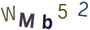 圖片的 CAPTCHA