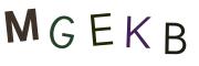 圖片的 CAPTCHA