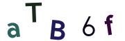 圖片的 CAPTCHA
