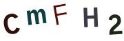 圖片的 CAPTCHA