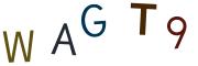 圖片的 CAPTCHA