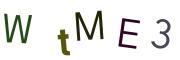 圖片的 CAPTCHA