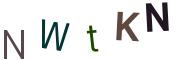 圖片的 CAPTCHA