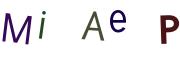 圖片的 CAPTCHA