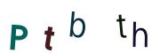 圖片的 CAPTCHA
