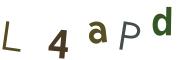 圖片的 CAPTCHA