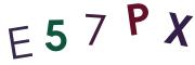 圖片的 CAPTCHA