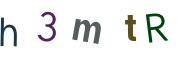 圖片的 CAPTCHA