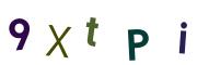 圖片的 CAPTCHA