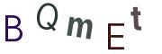 圖片的 CAPTCHA