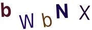 圖片的 CAPTCHA