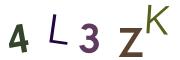 圖片的 CAPTCHA