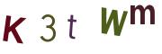 圖片的 CAPTCHA