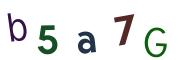 圖片的 CAPTCHA