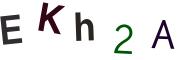 圖片的 CAPTCHA