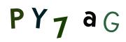 圖片的 CAPTCHA