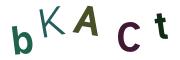 圖片的 CAPTCHA