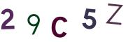 圖片的 CAPTCHA