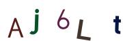 圖片的 CAPTCHA